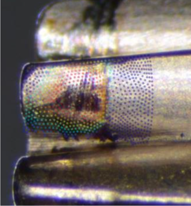 individuelle Modellentwicklung und Simulation Modellierung und Simulation